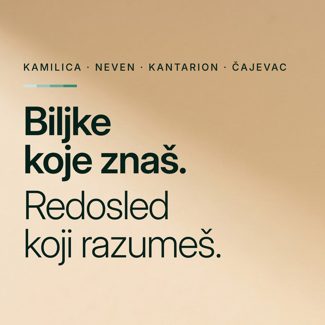 Kamilica, neven, kantarion, čajevac. Biljke koje znaš. Redosled koji razumeš.
